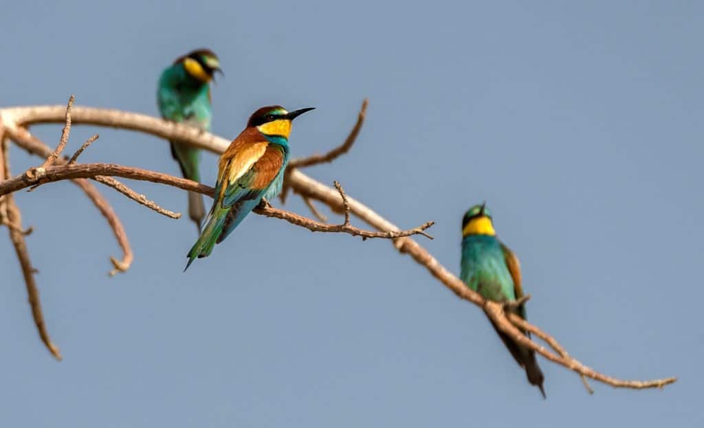 Home_page_photo_#3